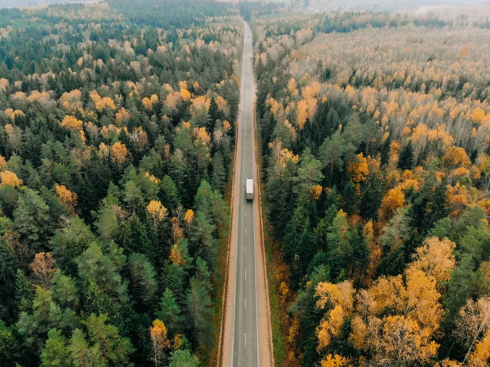 A road seen from above