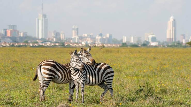 Nairobi skyline with the KICC tower