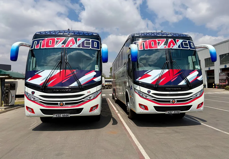 Two Mozaico Marcopolo coaches parked side by side